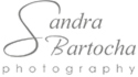 www.bartocha-photography.com